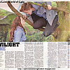 Matrícula=the_sunday_mail_002.jpg
Tamanho=387KB
Dimensão=1023x872
Data Envio=24 Out 2010 the_sunday_mail_002.jpg
